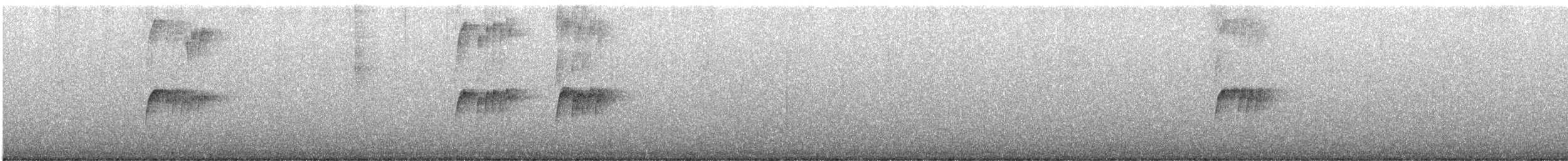 Tropical Kingbird - ML645432604