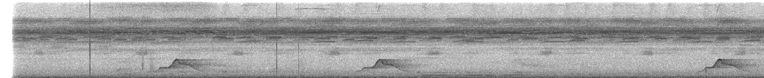 Common Pauraque - ML645432674