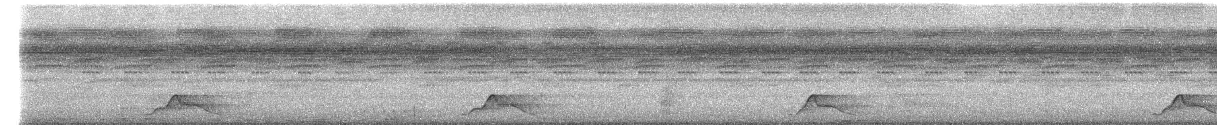 Common Pauraque - ML645432675