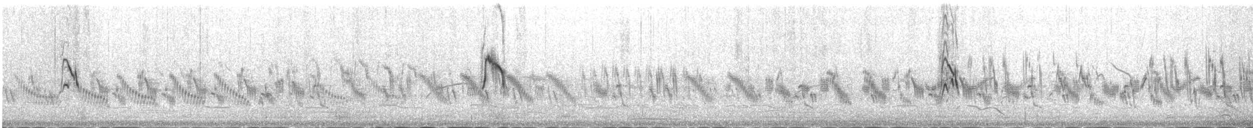 Eastern Yellow Wagtail (Manchurian) - ML645432847