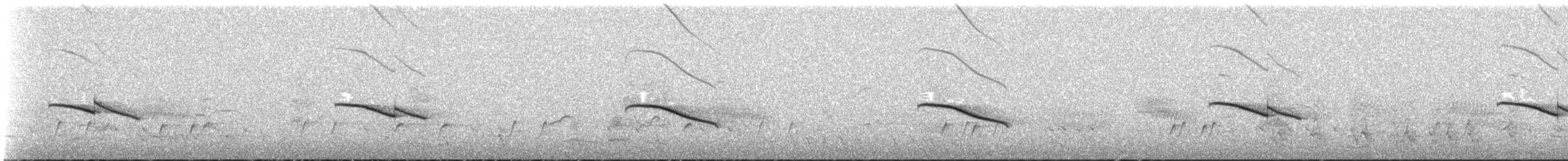 Rotschwanzkuckuck - ML645432891