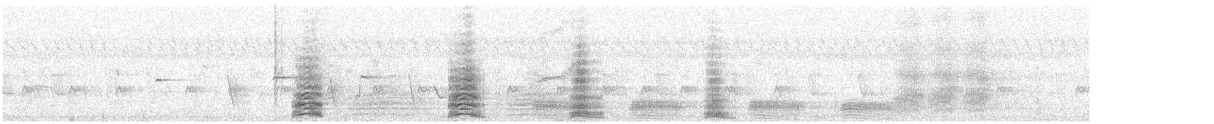 Koartza hauskara (cinerea/jouyi) - ML645433139