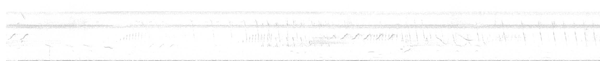 Couch's Kingbird - ML645433176