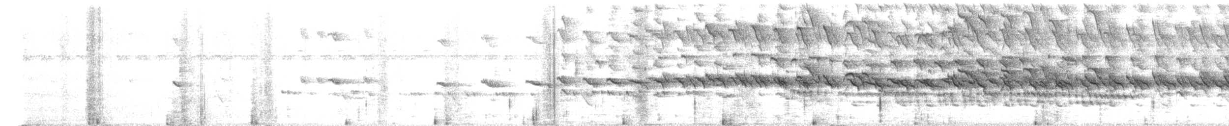 Turdoide Piquigualdo - ML645433276