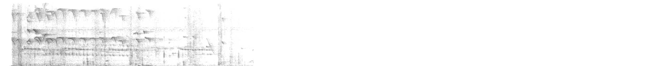 Turdoide Piquigualdo - ML645433289