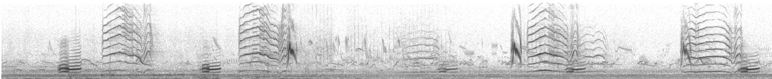 Godlewski txirta - ML645433522