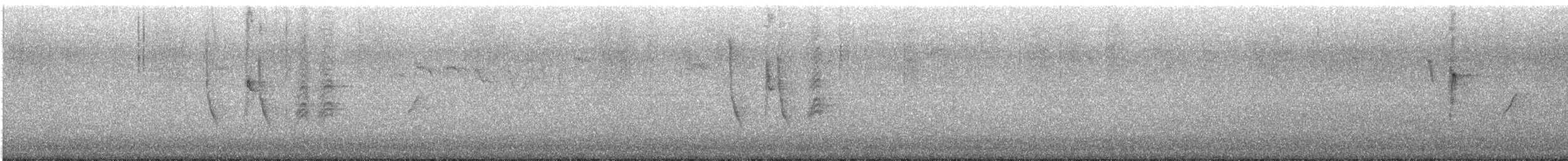 Kaskabeltz txikia - ML645433967