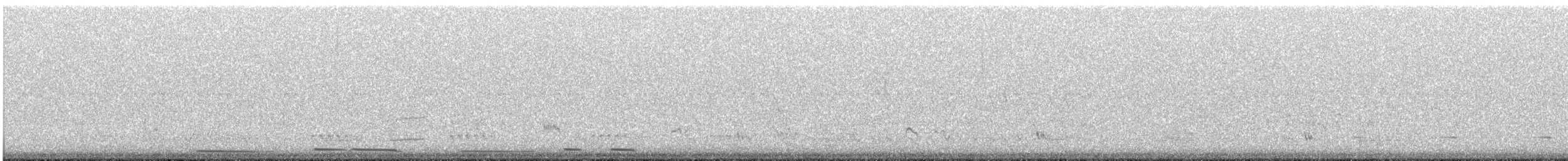 Diamanttäubchen - ML645436171