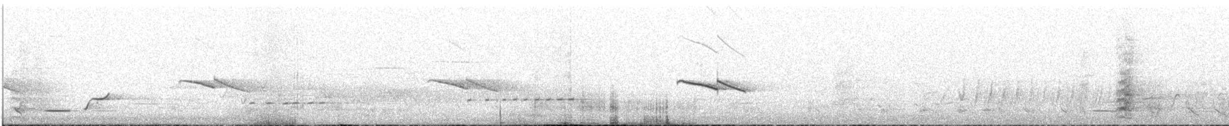 Horsfield's Bronze-Cuckoo - ML645436942