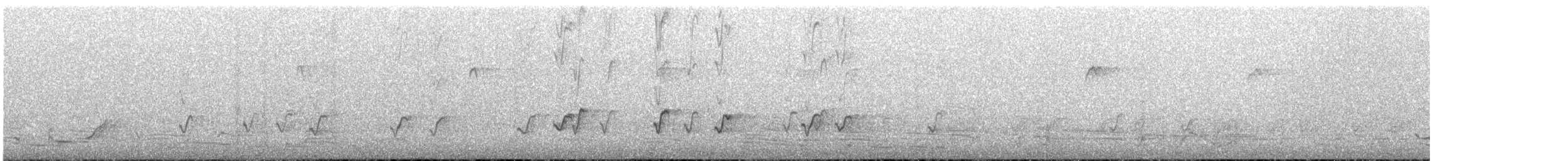 Australian Ringneck (Mallee) - ML645436999