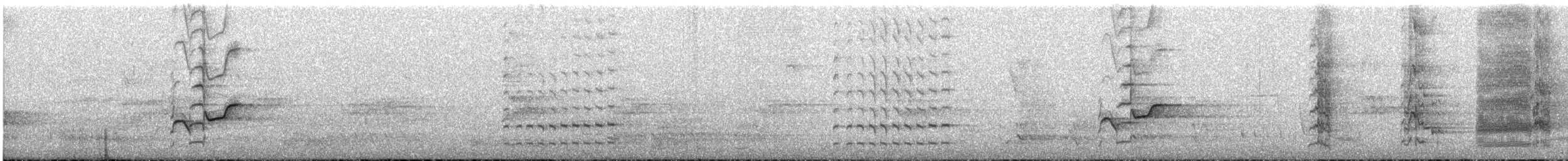 Rainbow Lorikeet - ML645437051