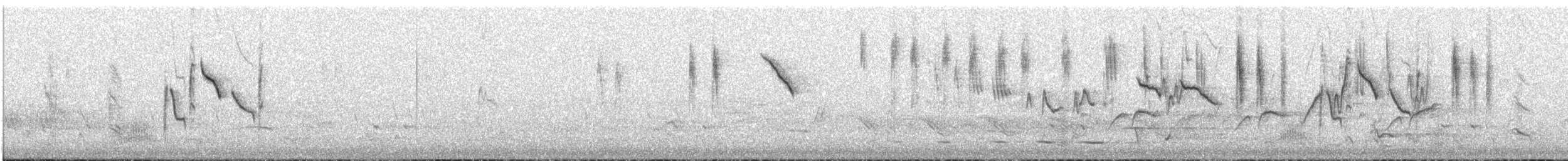 Chestnut-rumped Thornbill - ML645437249