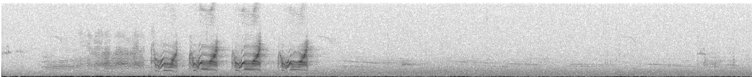 White-browed Babbler - ML645437297