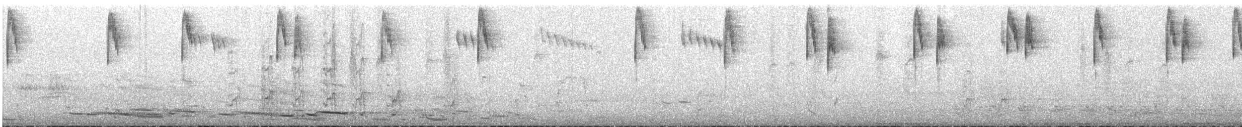 Superb Fairywren - ML645437428