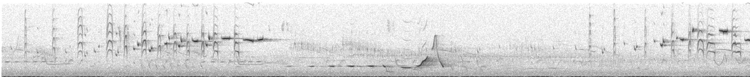 Gray Fantail (alisteri) - ML645437544