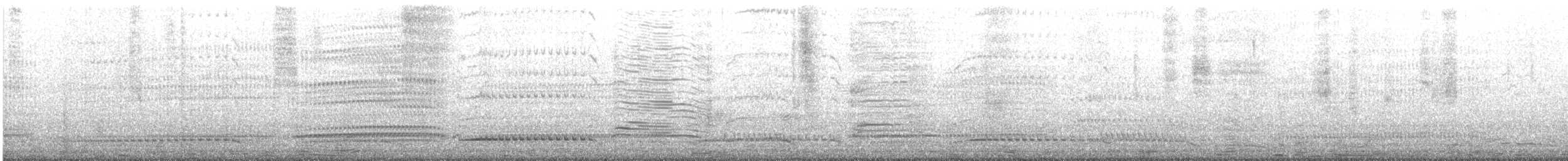 dvergpingvin - ML645437751