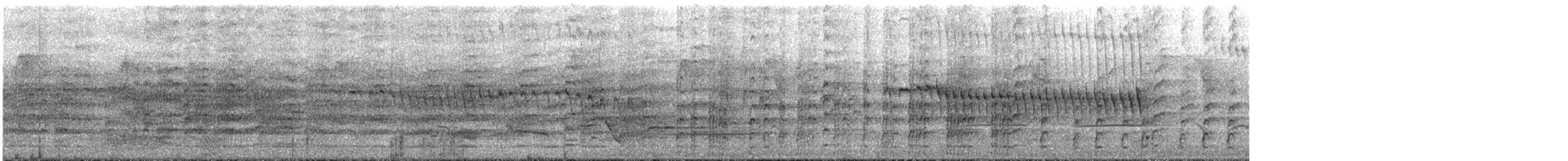 maskevipe (novaehollandiae) - ML645437752