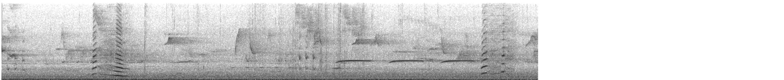 Dusky Moorhen - ML645437767