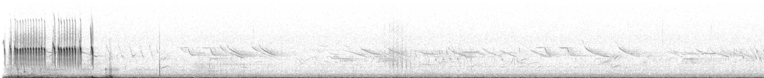 Buff-winged Cinclodes - ML645437793