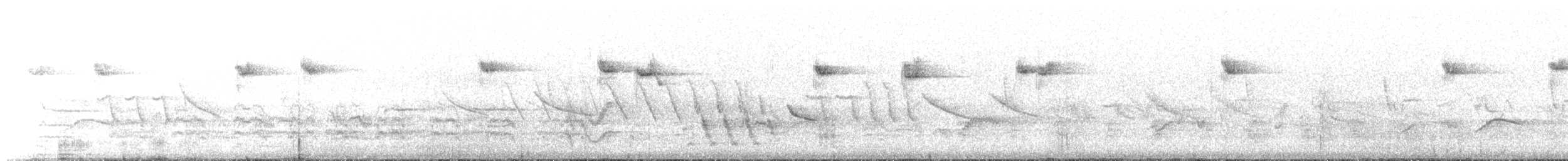 Austral Blackbird - ML645437808