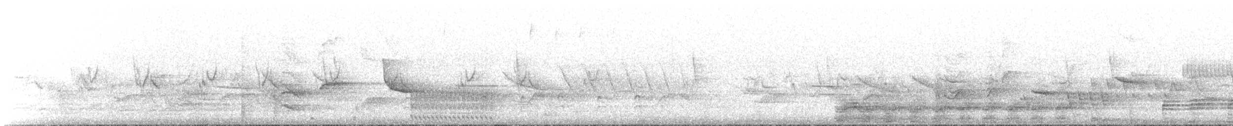 Bandurria Austral - ML645437869