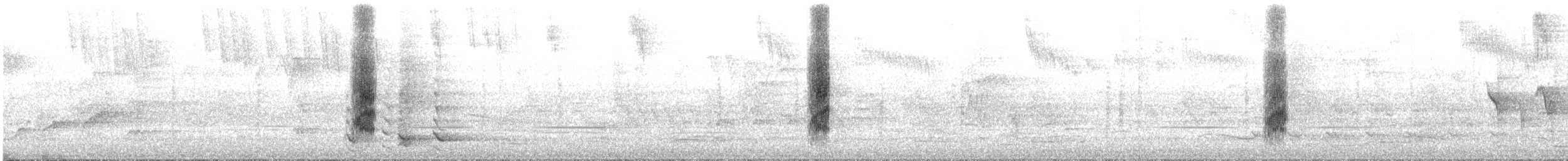 Red Wattlebird - ML645437940