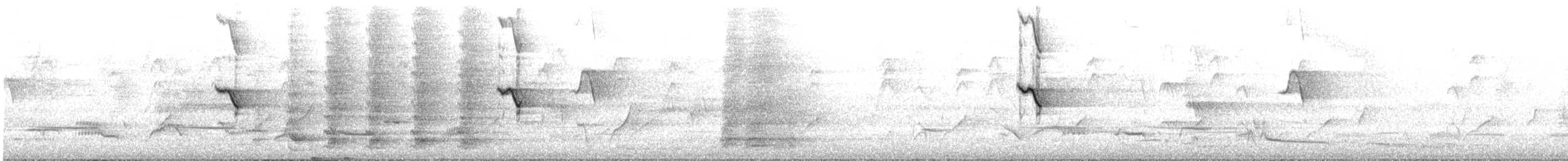 New Holland Honeyeater - ML645437970