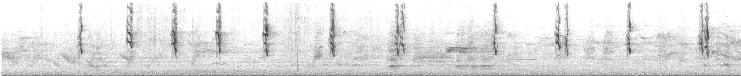 hvitsmykkehonningeter - ML645438012