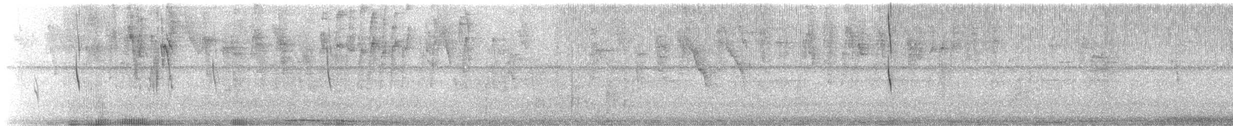 Festive Coquette - ML645438062