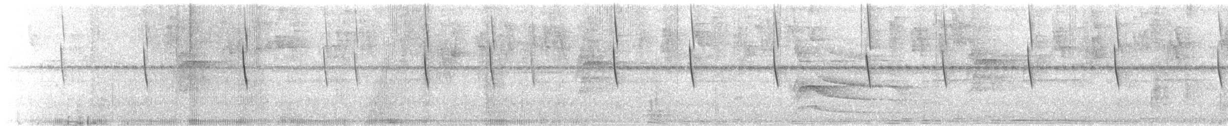 Festive Coquette - ML645438063