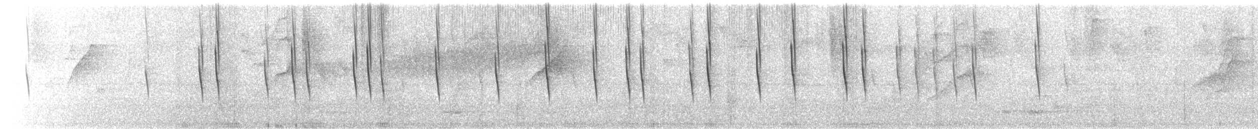 Festive Coquette - ML645438064