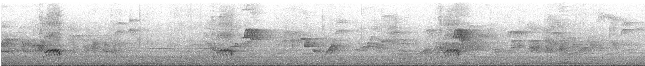 Black-faced Cuckooshrike - ML645438103