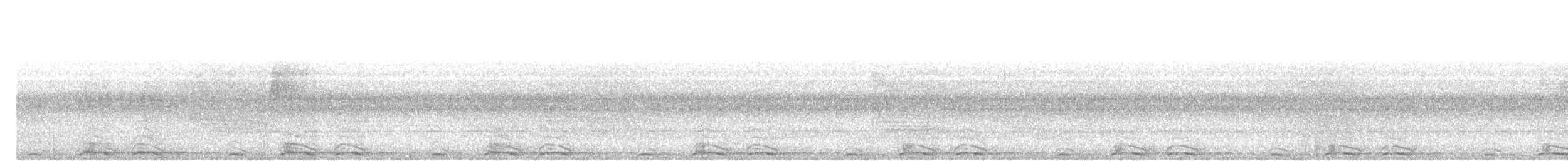 Белохохлый калао - ML645438371