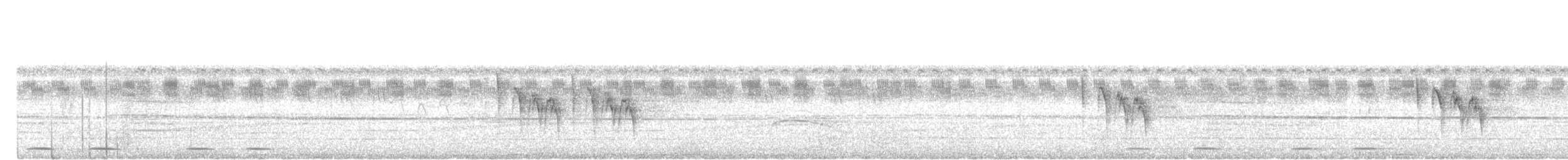 Желтобрюхая приния - ML645438418