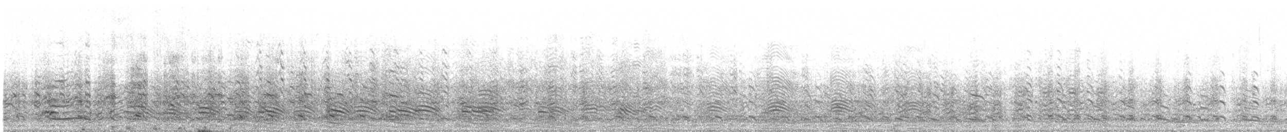 Chilean Skua - ML645438606