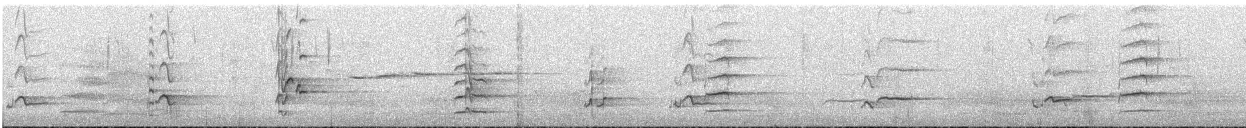 Rainbow Lorikeet - ML645438616