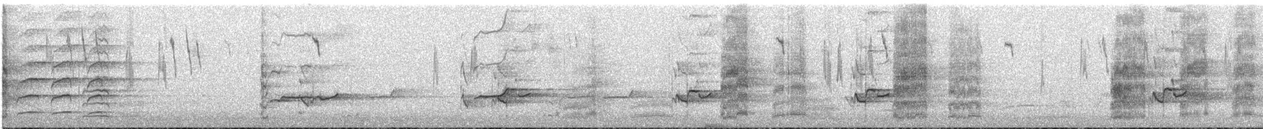 Superb Fairywren - ML645438639