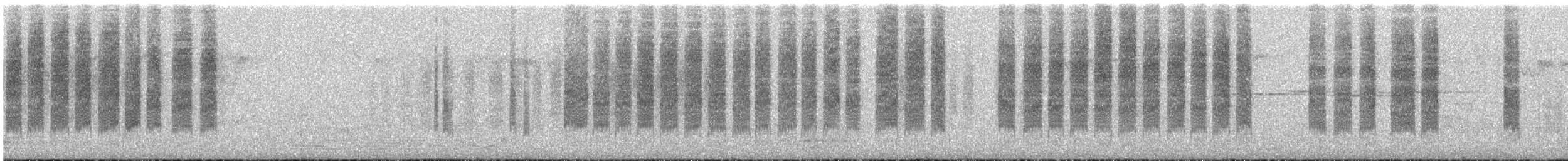 White-browed Scrubwren (White-browed) - ML645438691