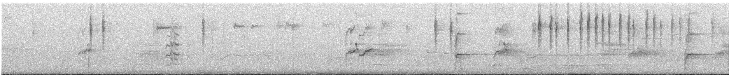 Striated Thornbill - ML645438716