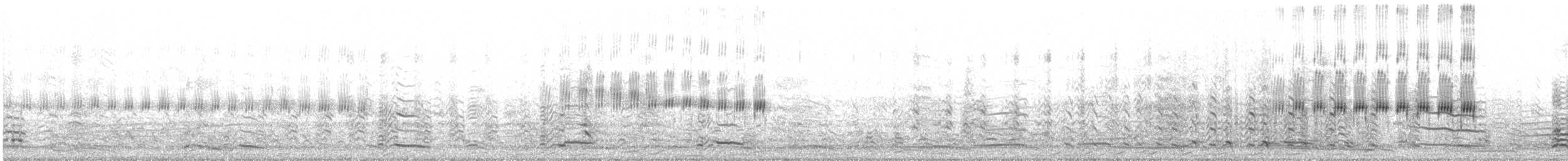 Short-billed Miner - ML645438934