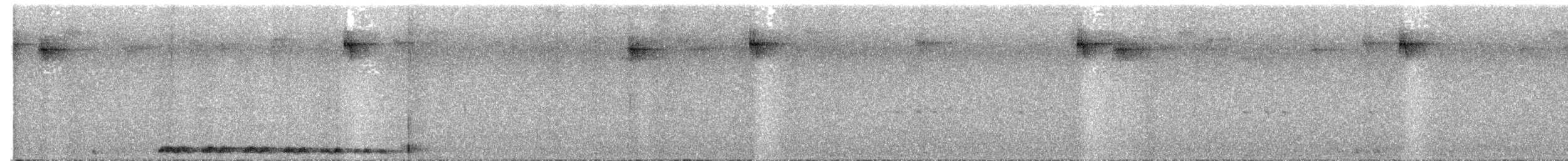 Marbled Frogmouth (Plumed) - ML645439000