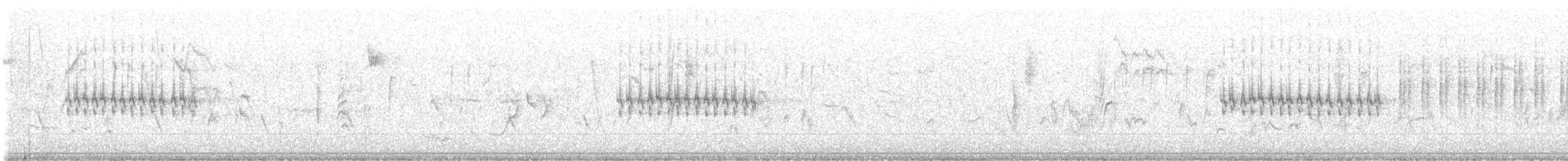 Zigolo nero - ML645439028
