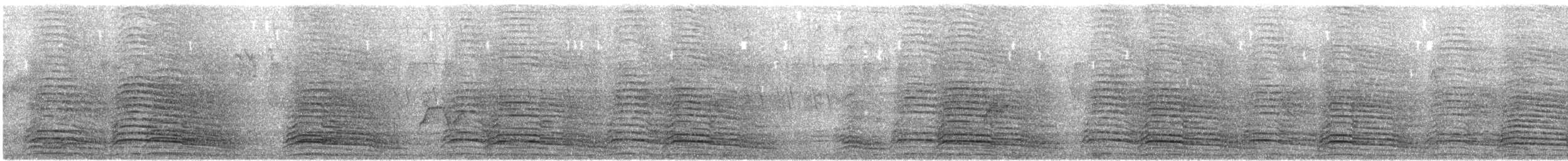 Hadada Ibis - ML645439220