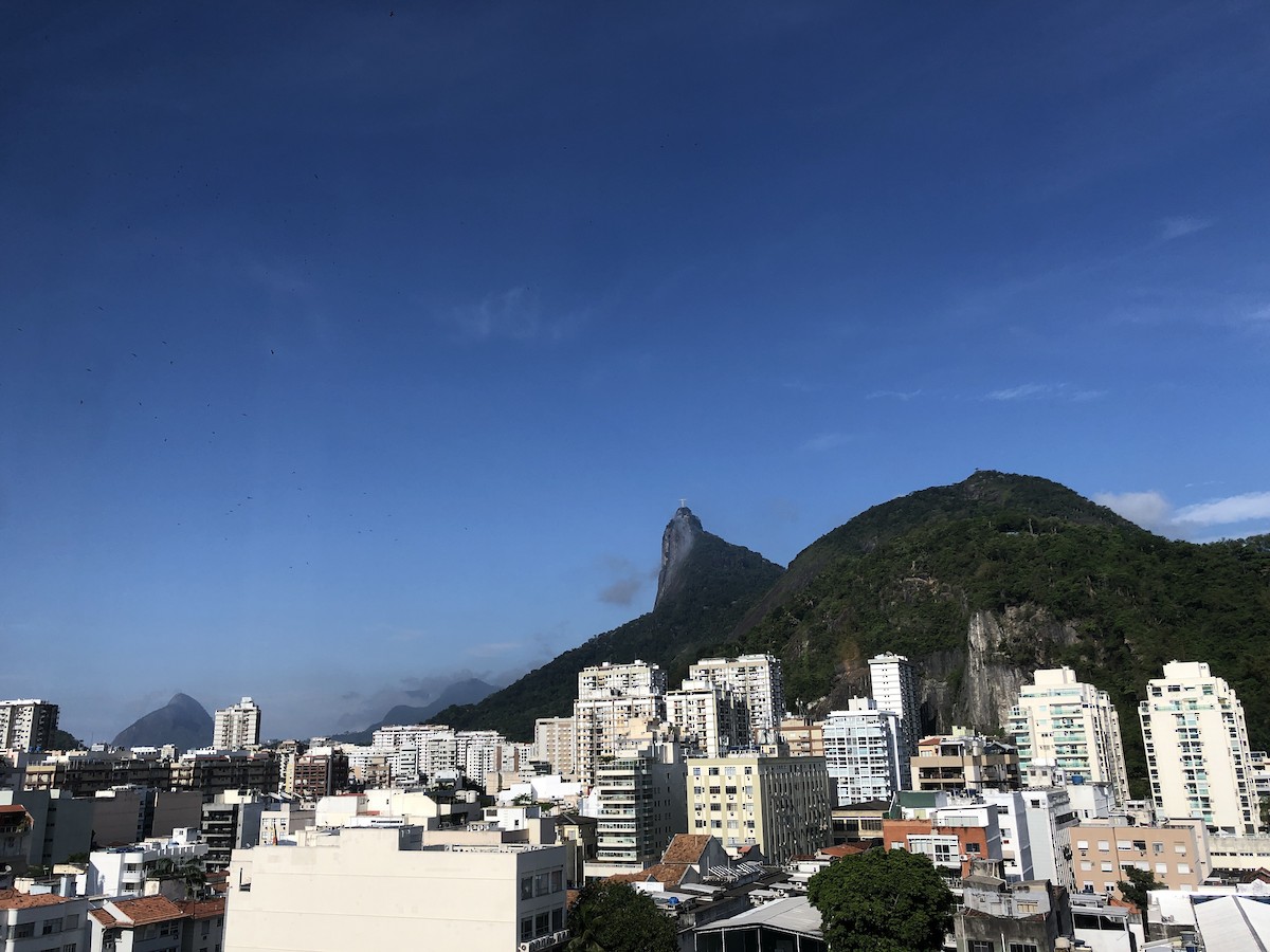 Magnificent Frigatebird - ML645439396