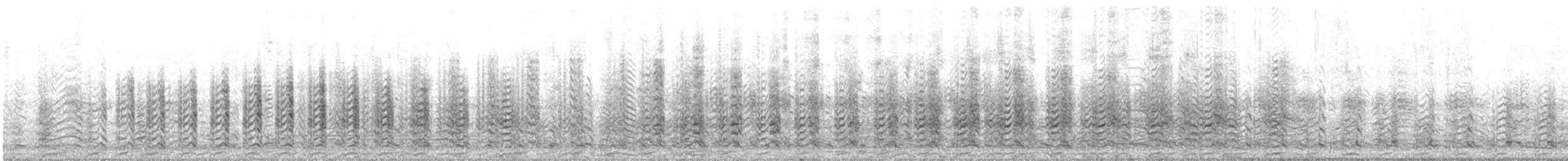 Kelp Gull (dominicanus) - ML645439418