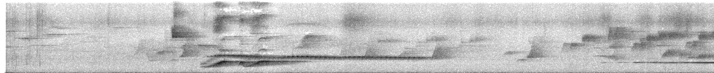 Noisy Pitta - ML645439426