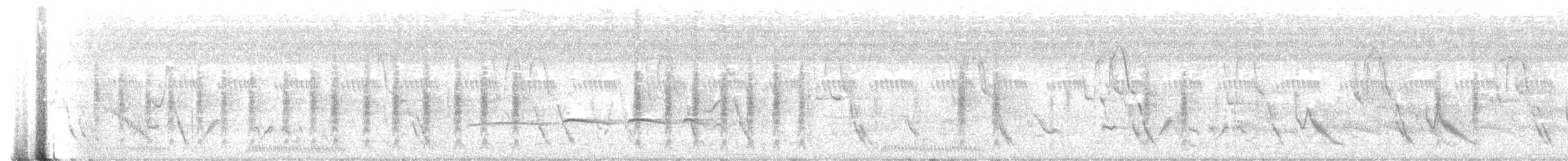 Dideric Cuckoo - ML645439480