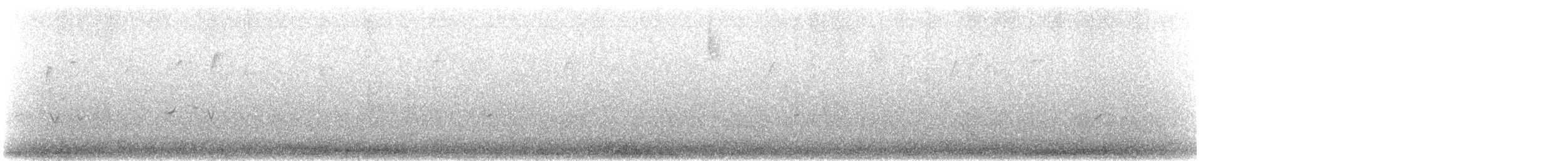 hýl křivčí - ML645439702