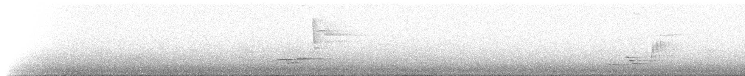 Grive des bois - ML645440206