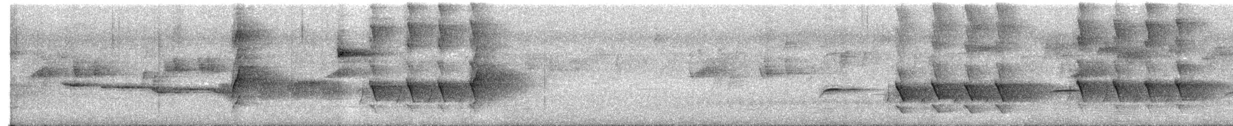 Australian Logrunner - ML645440531